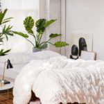 Contemporary Bedrooms with Plants