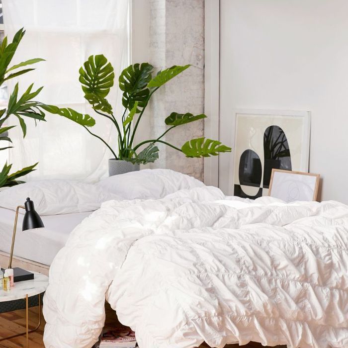 You are currently viewing Contemporary Bedrooms with Plants