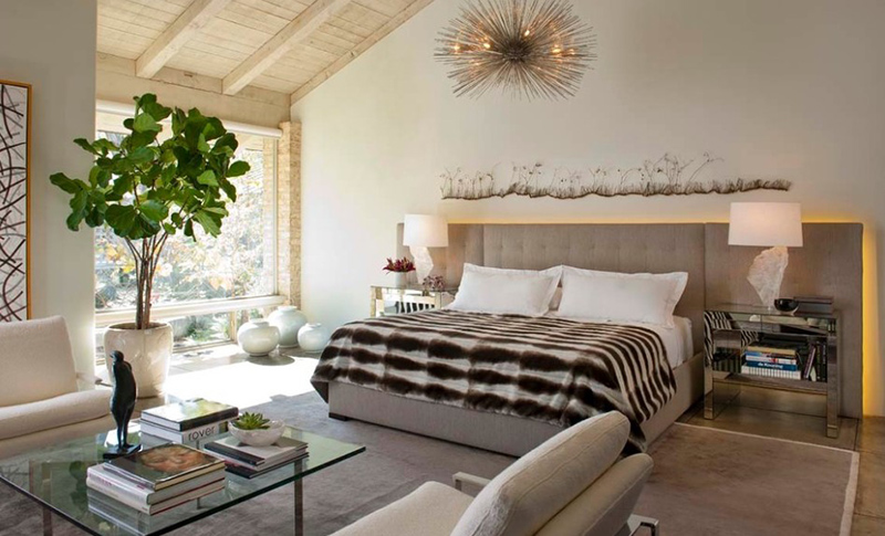 19 Contemporary Bedrooms with Plants