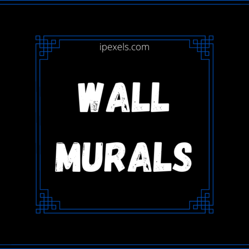 “Wall Murals” is an Amazing painting of your House