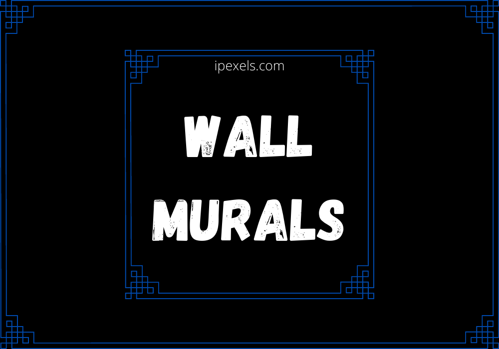You are currently viewing “Wall Murals” is an Amazing painting of your House